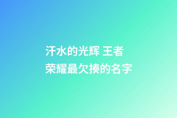 汗水的光辉 王者荣耀最欠揍的名字